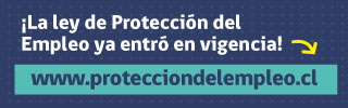 Información sobre Ley Protección al Empleo.