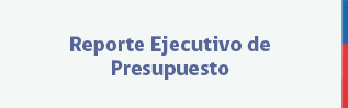 Texto Reportes Ejecutivos de Presupuesto.